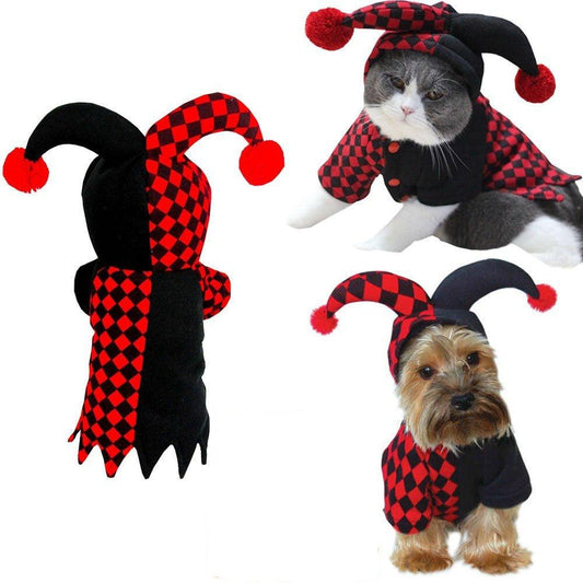 The Cutest Court Jester : Clown Costume for Pets