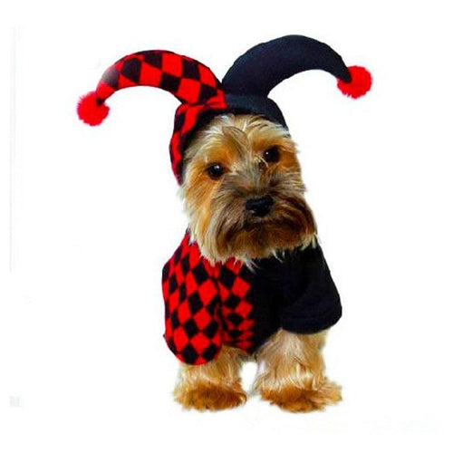 The Cutest Court Jester : Clown Costume for Pets