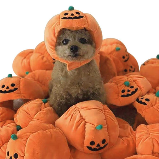 Purrfect Pumpkin Pet Hat: Adorable Halloween Costume For Cats And