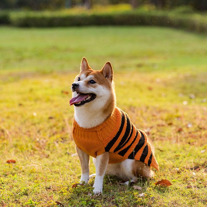 Halloween Dog Sweaters : Fall Attire
