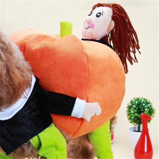 Pumpkin Pal Costume For Dogs