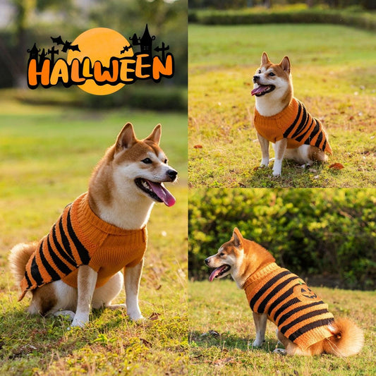 Halloween Dog Sweaters : Fall Attire