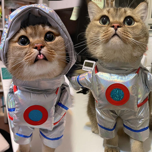 Beyond the Stars : A Space Suit Halloween Costume for pets