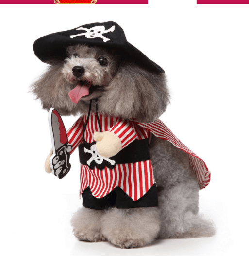Halloween Medley : Several Styles for your furry friend
