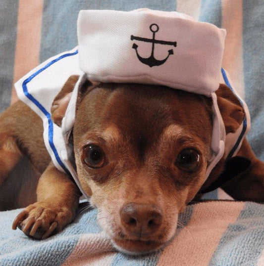 Sailor Halloween Costume for Pets