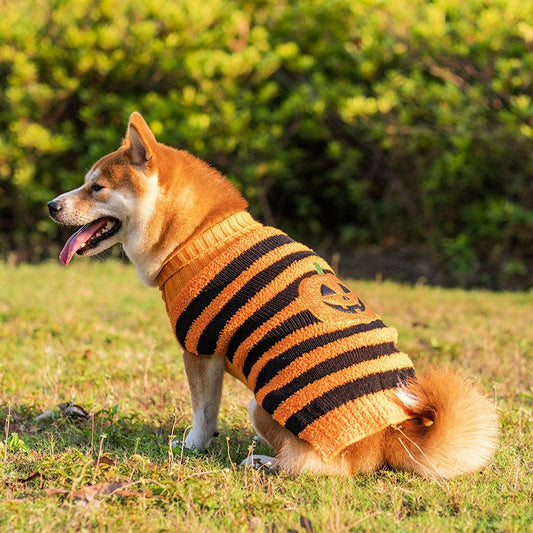 Halloween Dog Sweaters : Fall Attire