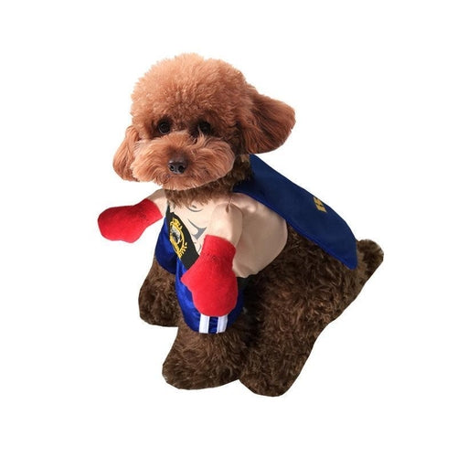 Boxer Halloween Dog Costume