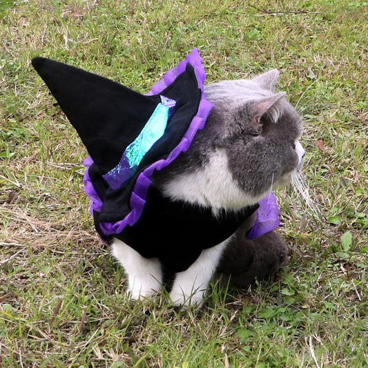 Witchy Pet Halloween Costume