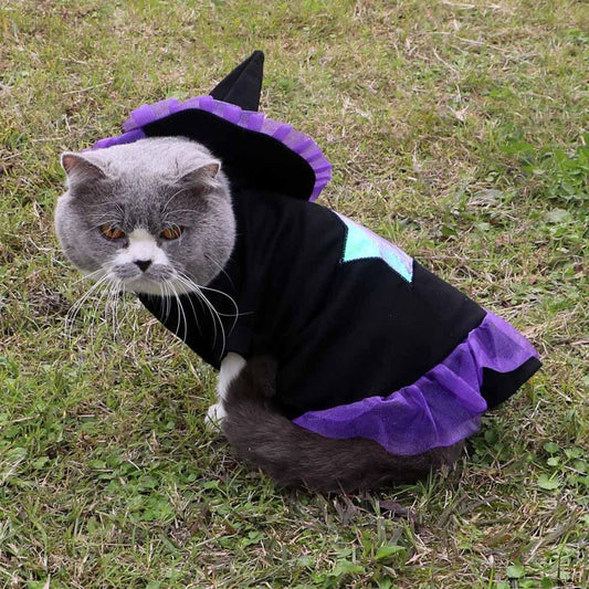 Witchy Pet Halloween Costume