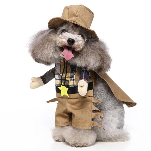 Halloween Medley : Several Styles for your furry friend