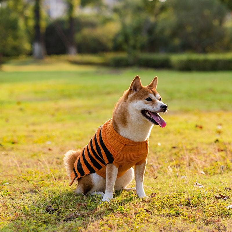 Halloween Dog Sweaters : Fall Attire