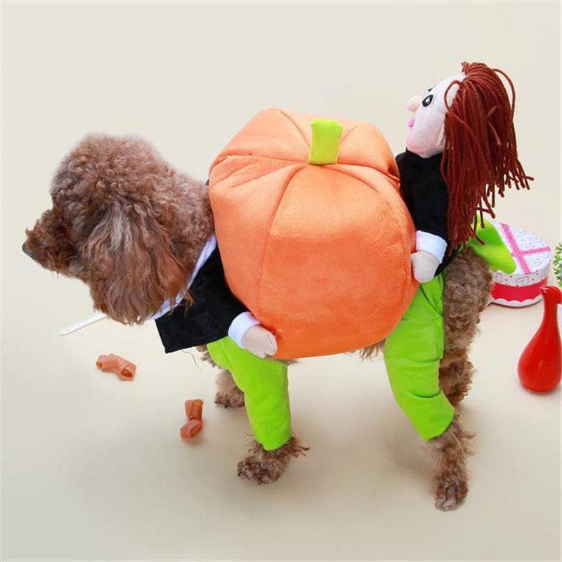 Pumpkin Pal Costume For Dogs