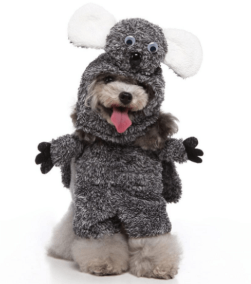 Halloween Medley : Several Styles for your furry friend