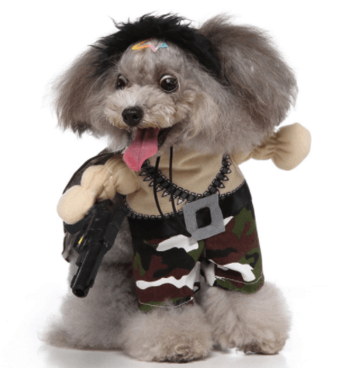 Halloween Medley : Several Styles for your furry friend
