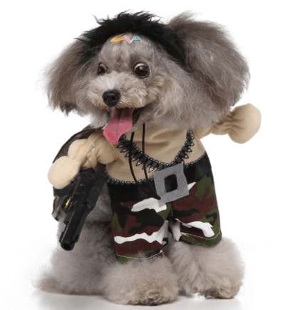 Halloween Medley : Several Styles for your furry friend