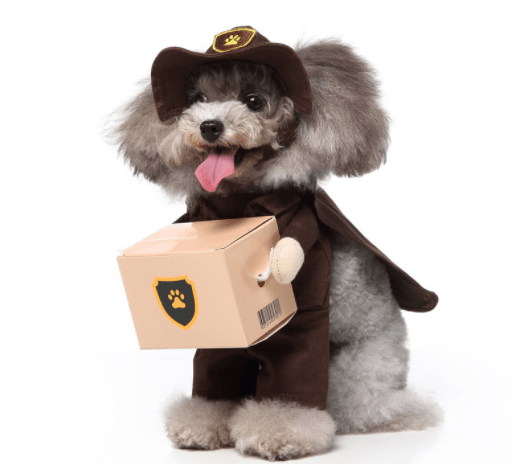 Halloween Medley : Several Styles for your furry friend