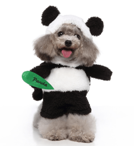 Halloween Medley : Several Styles for your furry friend