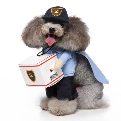 Halloween Medley : Several Styles for your furry friend