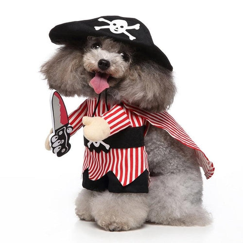 Halloween Medley : Several Styles for your furry friend