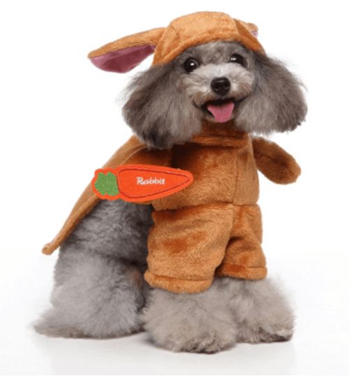 Halloween Medley : Several Styles for your furry friend