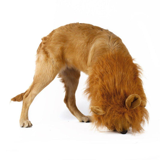 Lion Pet Wig
