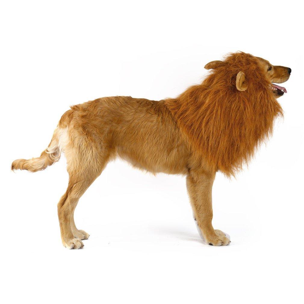 Lion Pet Wig