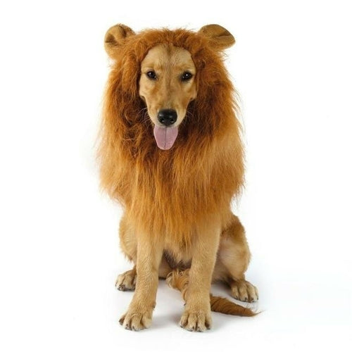 Lion Pet Wig